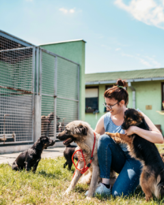 éducateur canin avec chien refuge spa saint etienne